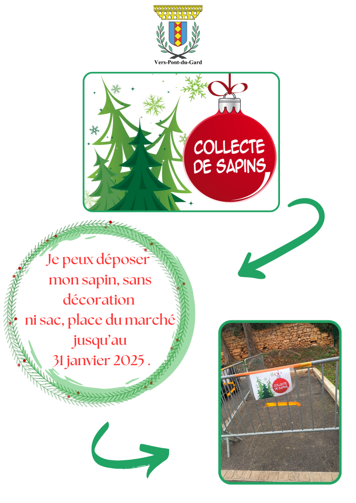 affiche-collecte-sapin